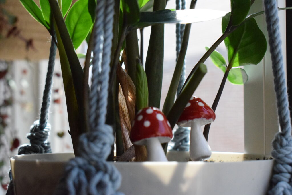 ZZ Plant with little ceramic mushrooms for decor. ZZ Plant Care tips.

These little mushrooms are perfect garden gift ideas!