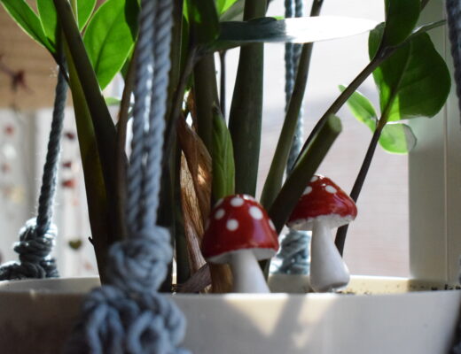 ZZ Plant with little ceramic mushrooms for decor. ZZ Plant Care tips. These little mushrooms are perfect garden gift ideas!