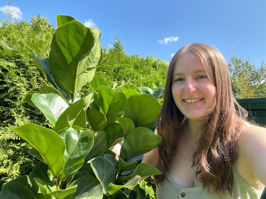 Picture of Brianna and a green Fiddle Leaf Fig plant with big leaves outside on a sunny day. Fiddle Leaf Fig Care to help keep your plant alive. 